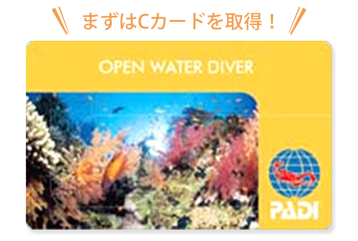 まずはCカードを取得!