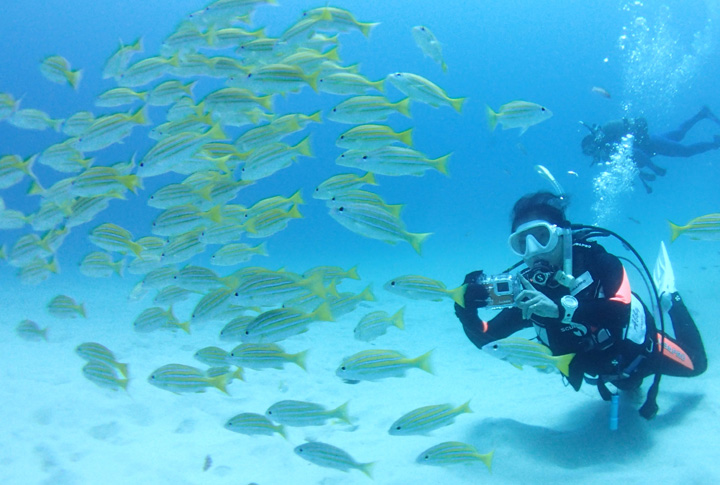 オープンウォーターダイバー