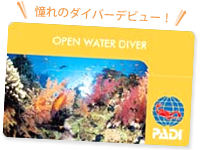 Cカード取得までの道